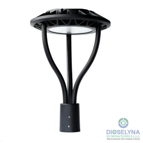 DIOSELYNA ILUMINACIONES E.I.R.L