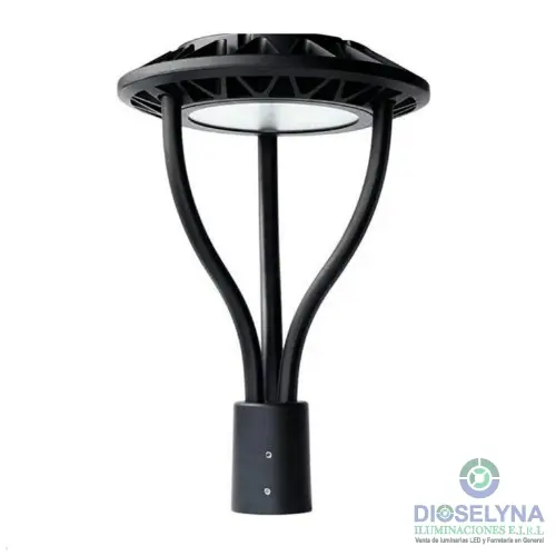 DIOSELYNA ILUMINACIONES E.I.R.L