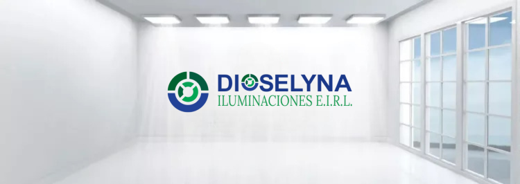 DIOSELYNA ILUMINACIONES E.I.R.L